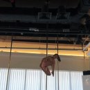 라인댄스(초급) | 일산 폴댄스 폴린이 국화의 622회차 수업 후기 초급 나이팅게일