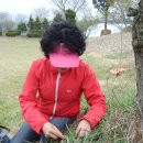 용방초교 이미지