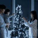 캔들트리 - 중구 동호로37길 20 | 캔들트리