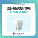 임종득치과의원 네이버블로그