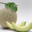 곡성-195 이미지