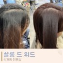 멍뭉이네 살롱 | 신가동 수완지구 미용실 살롱드위드 새치염색 후기