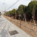 가능동주민센터 이미지