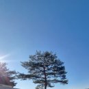 나무해담 이미지