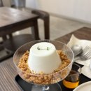 솔티 | [망원]망원동 푸딩 맛집 솔티웨이브 다녀온 후기