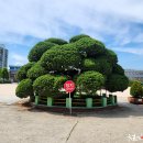 고색초등학교 이미지