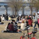 서울봄연합의원 이미지