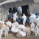 정순농장 이미지