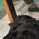 경주 불국사 한옥 팜 스테이 후기 리뷰