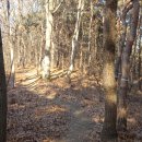 웅담2리 이미지