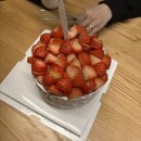 송도 딸기케이크 맛집 호야네케이크｜생일에 먹어본 인생 딸기케이크 내돈내산 후기