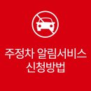 주정차 단속 - 001 이미지