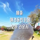 더써드라운지 세종 | 세종 애견동반카페 '오하라운지' 바스크치즈케이크과 함께한 힐링타임