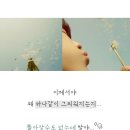 허니하니
