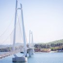 소풍길 들꽃산책 이미지