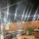 경북애견 | [경북/청도] 화양읍 '소우주 청도점' 애견동반카페 후기 ㅣ 청도카페 대구근교 아이와가볼만한곳