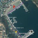 거제대구수산물축제 이미지