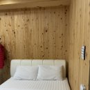 울진 숲속에 산장 펜션 | [울진펜션 추천] 파도소리 들리는 채플린하우스에서여유로운 바다멍때리기 (후포 바다 앞)