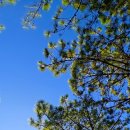 더로얄아파트 이미지