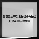 블링크스튜디오 | 블링크스튜디오눈썹&속눈썹 마곡점 마곡속눈썹
