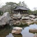 바닷가 숲속 이미지