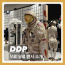 파동하부공원 | 2025년 9월 DDP 무료 유료 전시 소개
