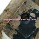 부영목욕탕 이미지