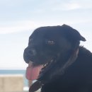 제주 삼춘네 민박 이미지