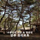 서울 근교 자연 속 대형캠핑장 양주 휴리조트 + 루프탑 카페 R504