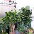 에이스부동산중개주식회사 이미지