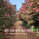 서울시서부도로교통사업소 | 🍊 [Jeju] "이번엔 헛걸음 금지!" 제주 서부 여행 감성 스팟 TOP 3 (ft. 찐 방문 후기)
