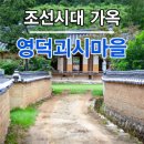 영덕 영해 호지마을 (괴시마을) 영양 南씨 집성촌 탐방. 이미지