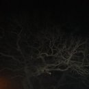 연평3리 이미지