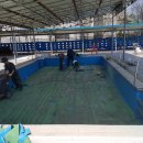 동두천시시민회관 이미지