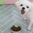 놀다가개유치원 이미지