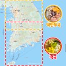 (주)대왕페이퍼 | 대만 JAN - 01 (새해첫날, 주웨이바다, 캔들만들기)