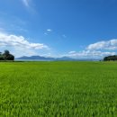 황금노을민박 이미지