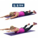 청원헬스클럽 네이버블로그