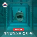 해골 | 데미안 허스트 전시 예매 꿀팁 소머리 상어 해골 실물영접 충격 후기