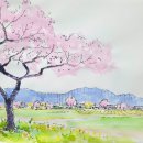 봄이야기