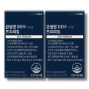 디이엠