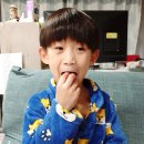홍순이감귤농장 네이버블로그