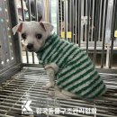 노원-상계-2851 이미지