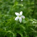 오늘도예쁘다 이미지