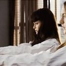 데이지 독 이미지