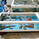 태공수산 이미지