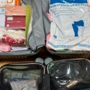 늘, 사랑스럽 개 | 1일차. 득남