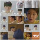 신묘한