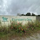 잠자는 숲속의 펜션 | A동 A1 후기/애견 독채 펜션/애견 동반 펜션/대형견 동반 숙소/수영장 펜션/_내돈내산 솔직후기 찐후기