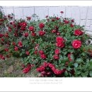 구포지하철역 이미지